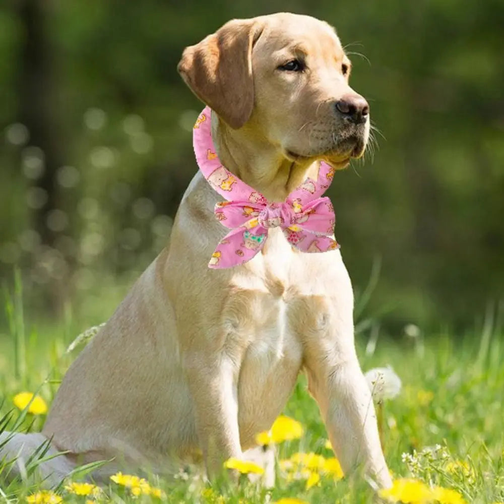 Practical Cute Dog Cooling Bandana