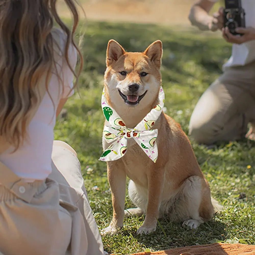 Practical Cute Dog Cooling Bandana