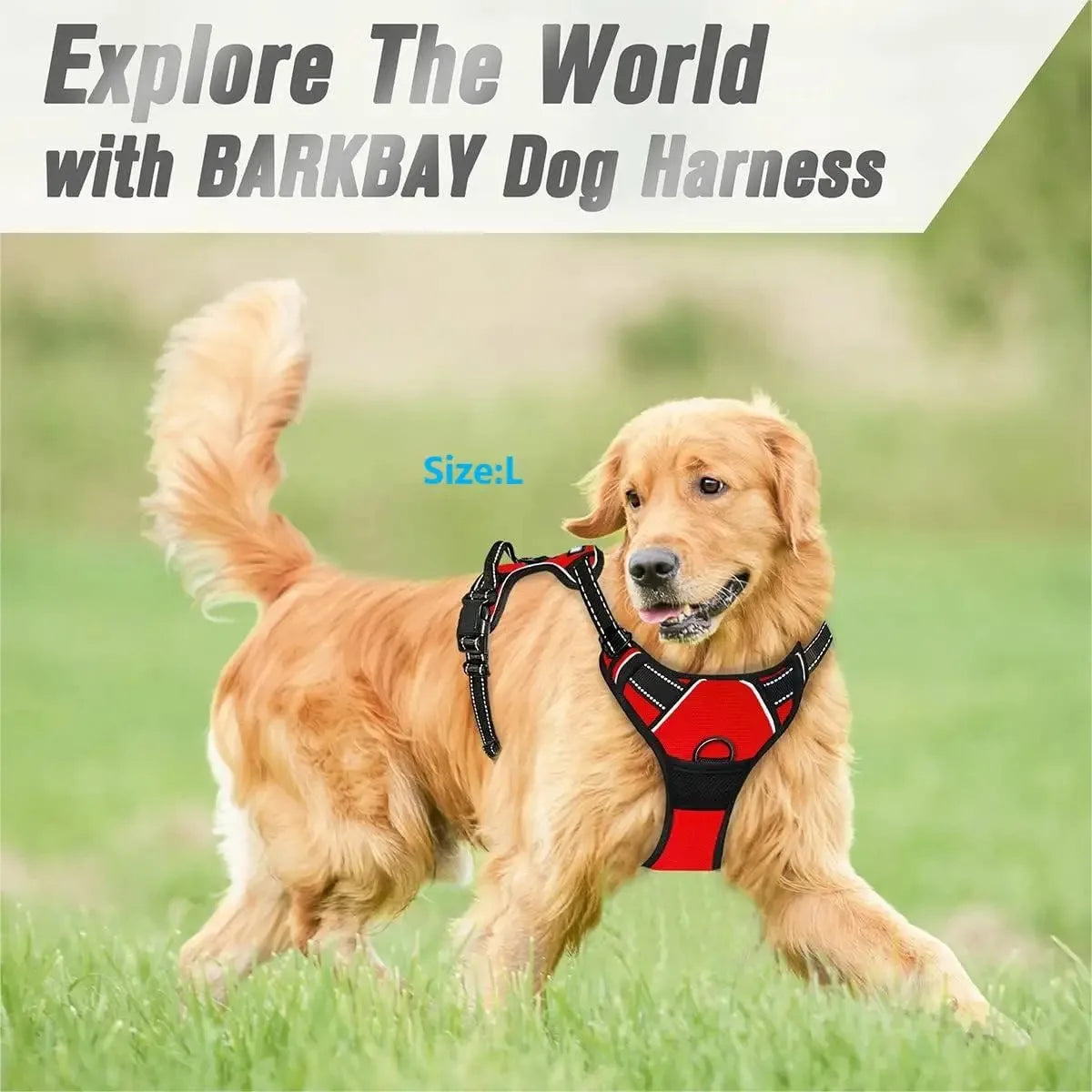 Comfortable Dog Collars Harness Big Vests Leash