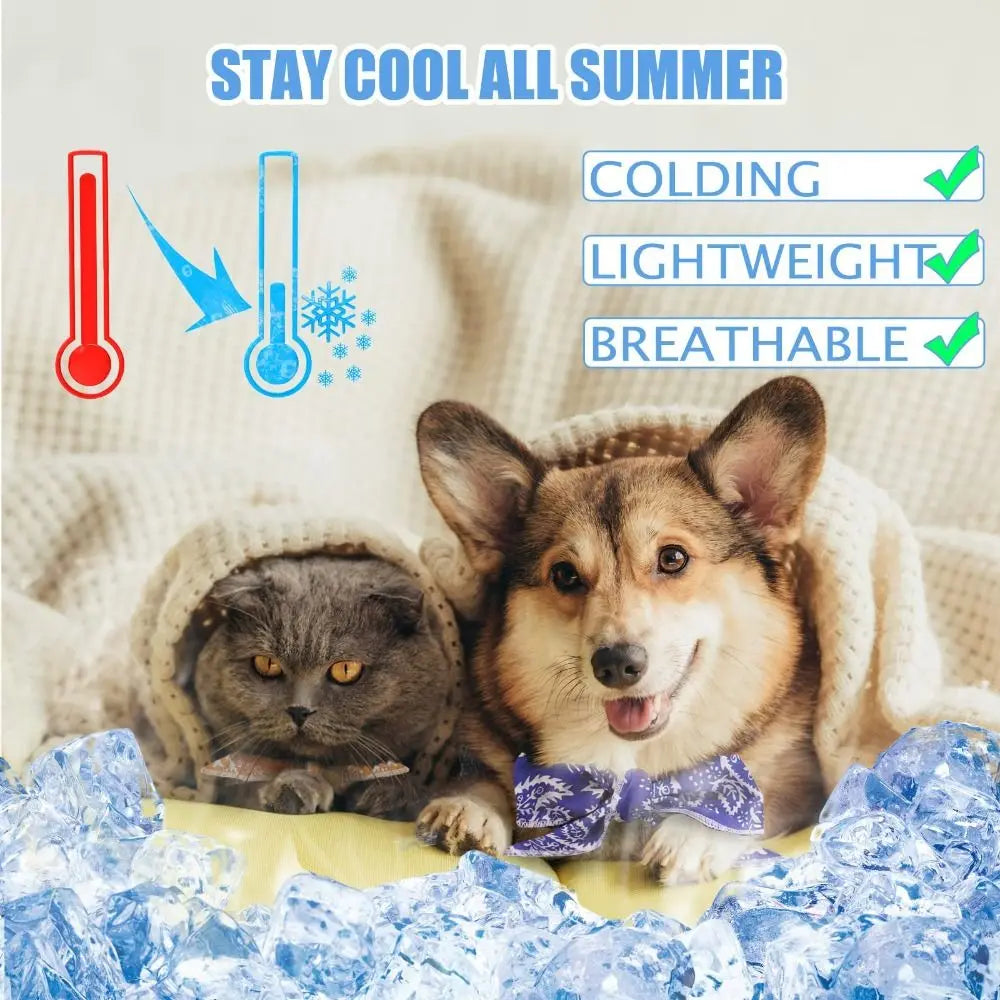 Practical Cute Dog Cooling Bandana