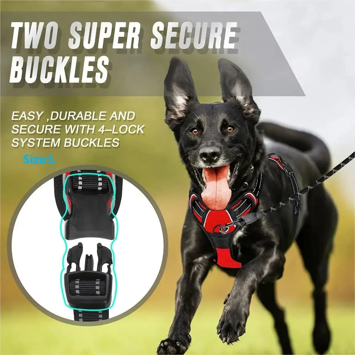 Comfortable Dog Collars Harness Big Vests Leash