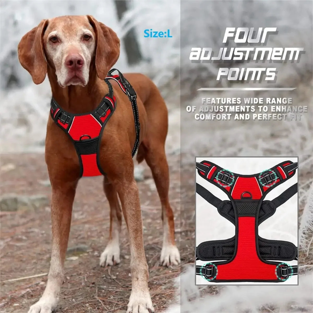 Comfortable Dog Collars Harness Big Vests Leash