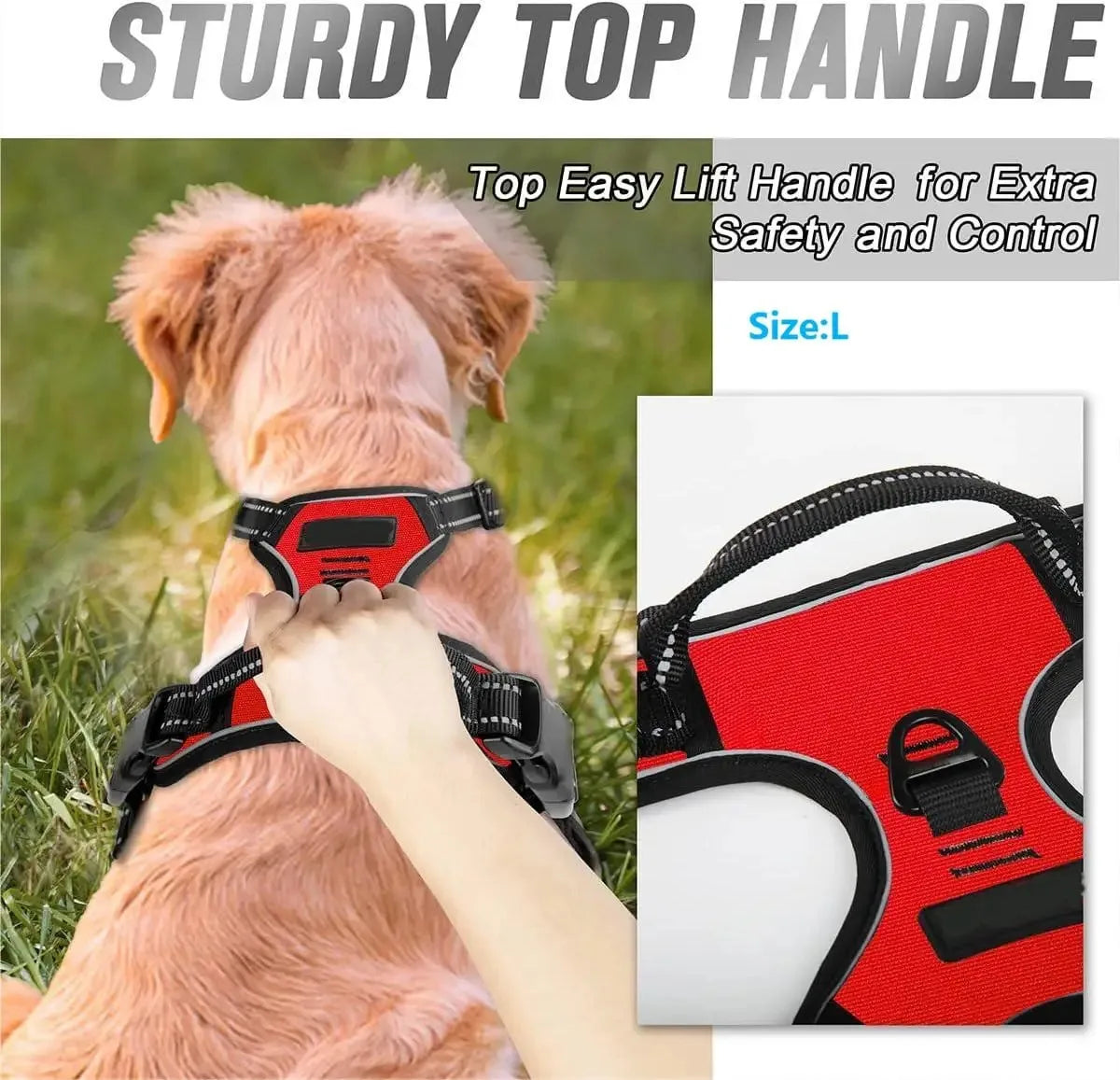 Comfortable Dog Collars Harness Big Vests Leash